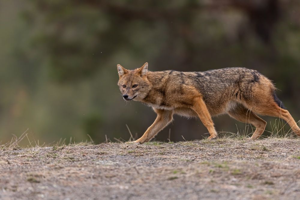 Photograph by Nikolay Stoyanov