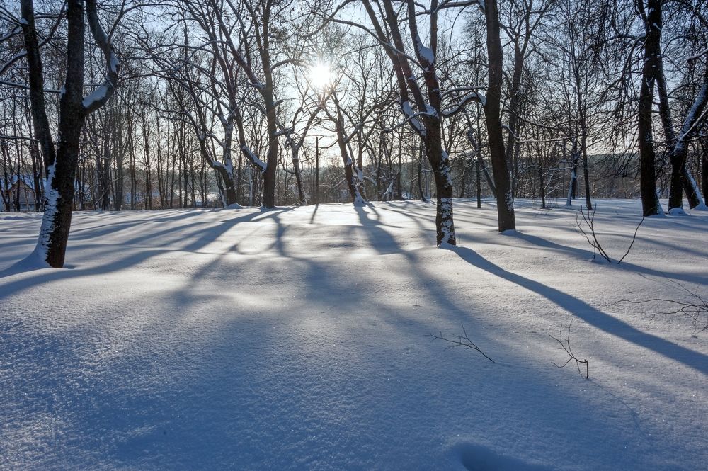 Фотография автора Valery Kleymenov