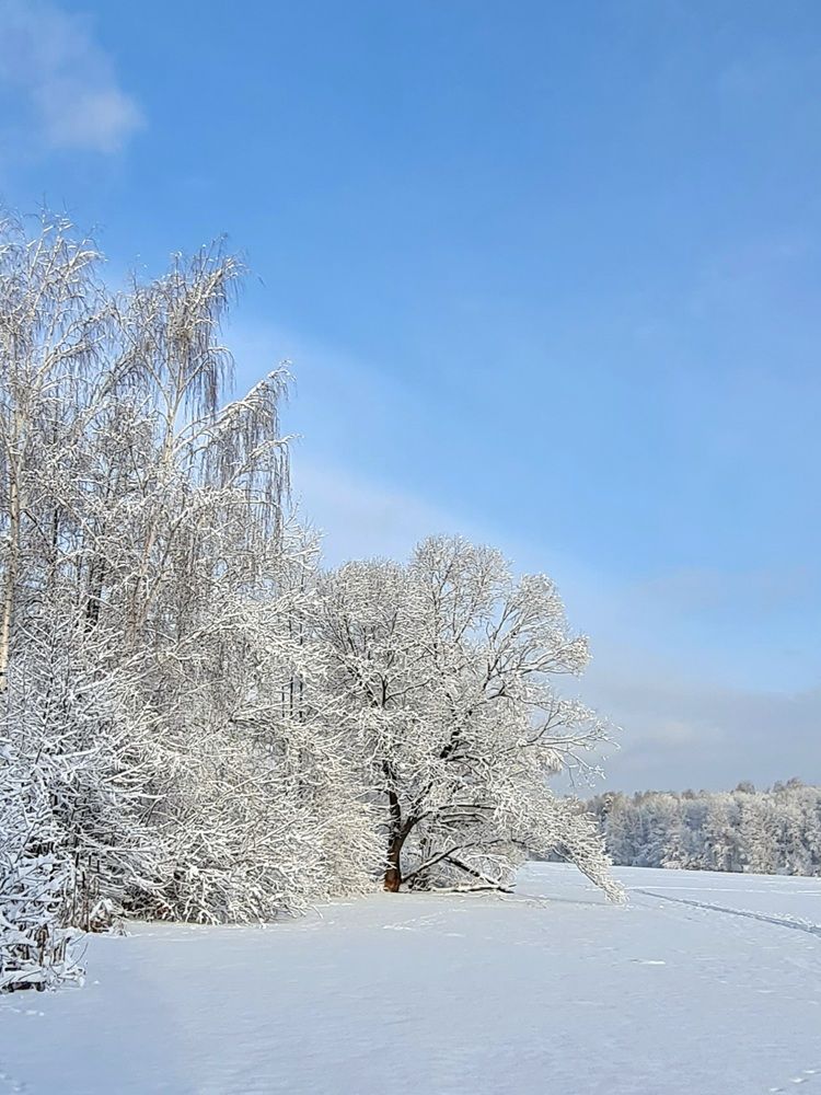 Photograph by Elena Lukashina