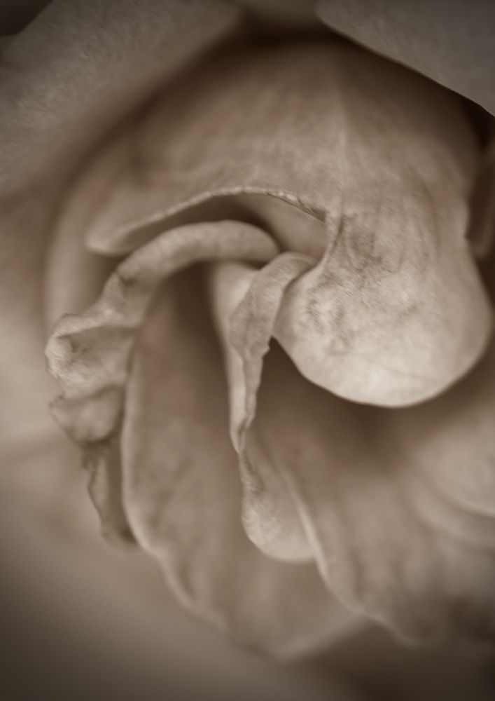 Фотография автора Armando Leonardo Linhares