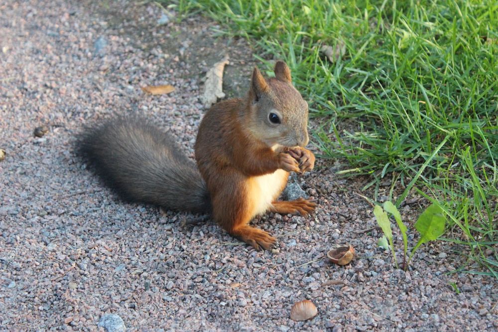 Photograph by Екатерина Апрелева