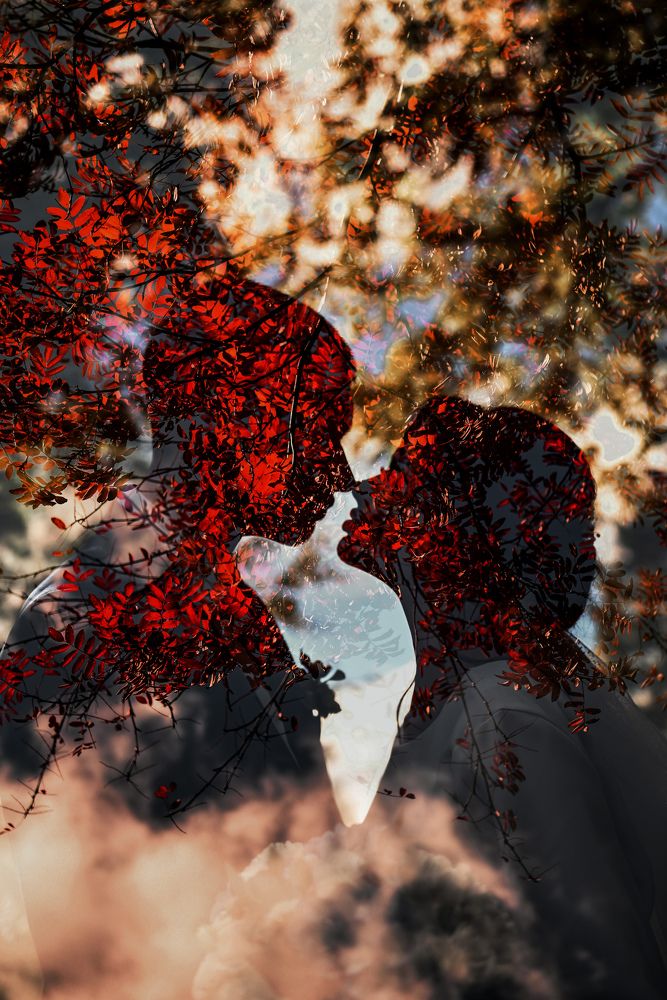 Photograph by Ильин Максим