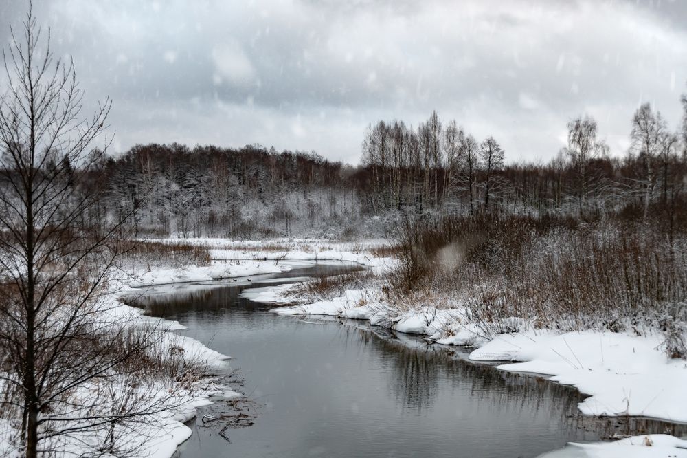 Photograph by Елена Ефимова