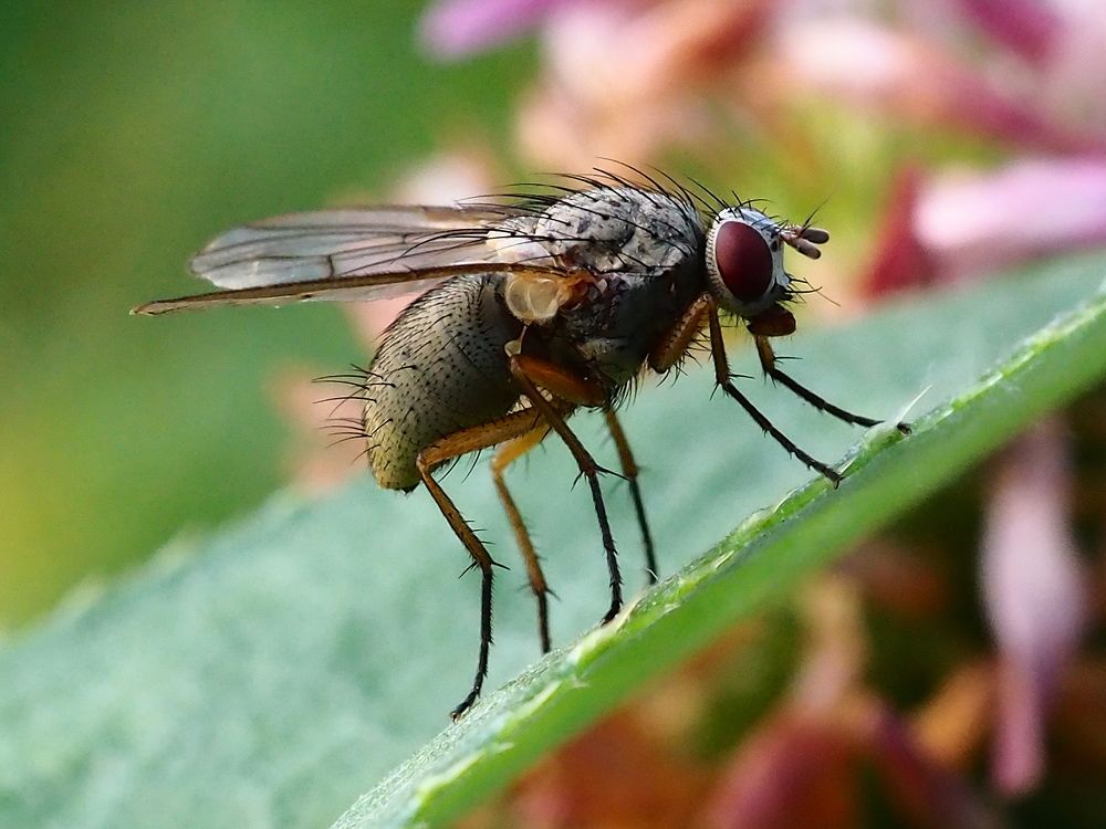 Photograph by Елена Харитонова