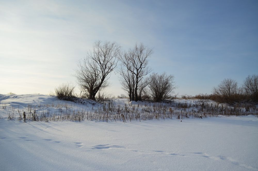 Photograph by Юрий Курынов