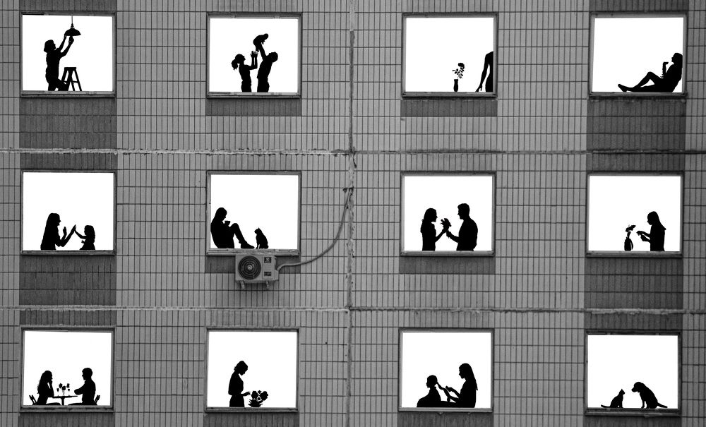 Жизнь в окне