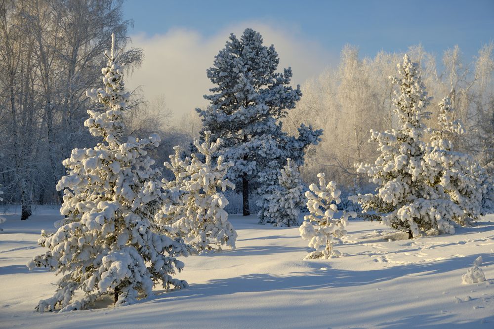 Photograph by Дмитрий