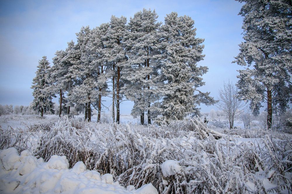 Photograph by Владимир Копков