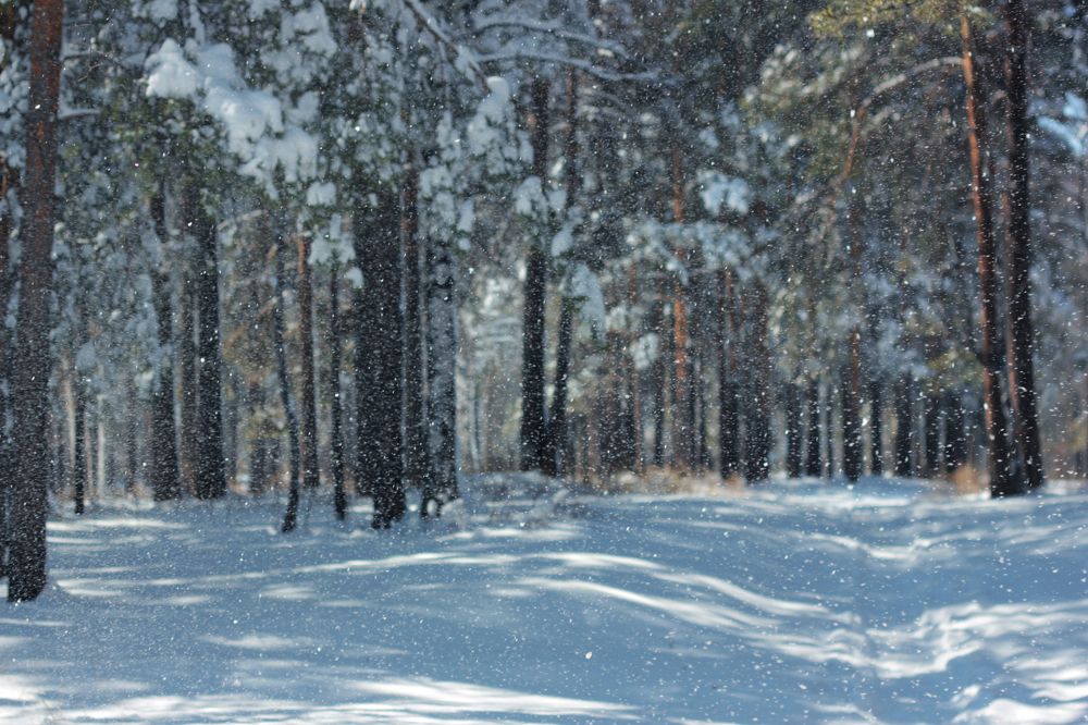 Photograph by Анна Киселёва