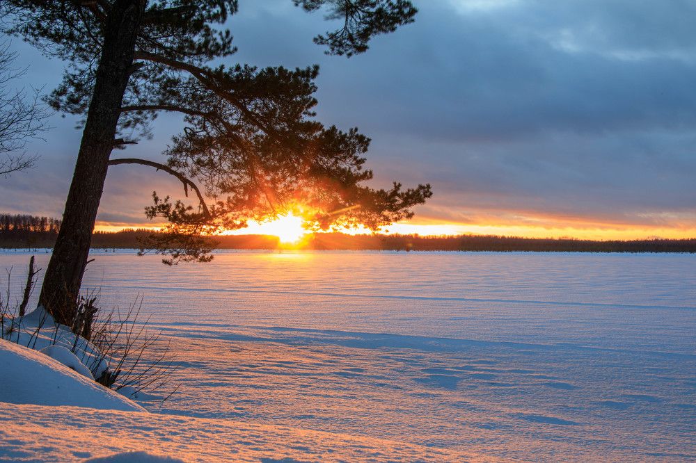 Photograph by Владимир Копков