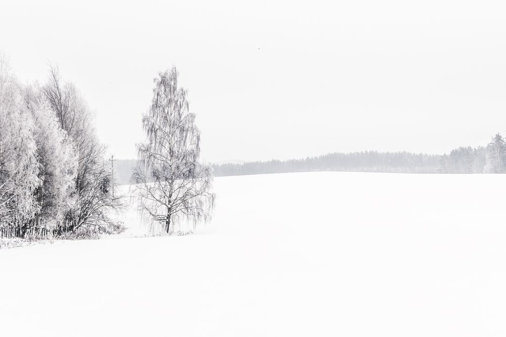 Photograph by Колесенко Иван