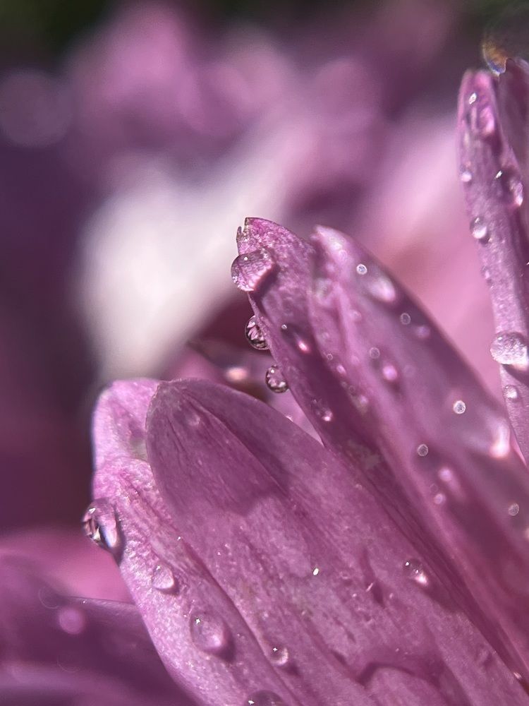 Photograph by Yulia Zhilinskaya