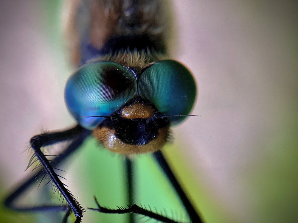 Photograph by Yulia Zhilinskaya