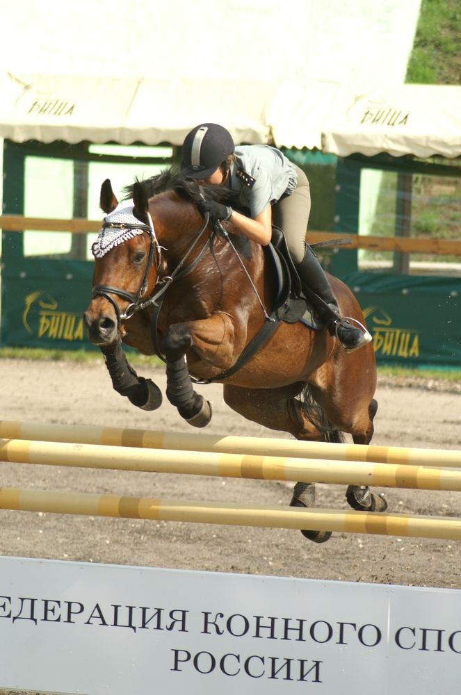 Photograph by Ольга Заповедная