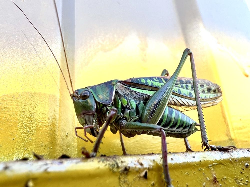 Photograph by Yulia Zhilinskaya