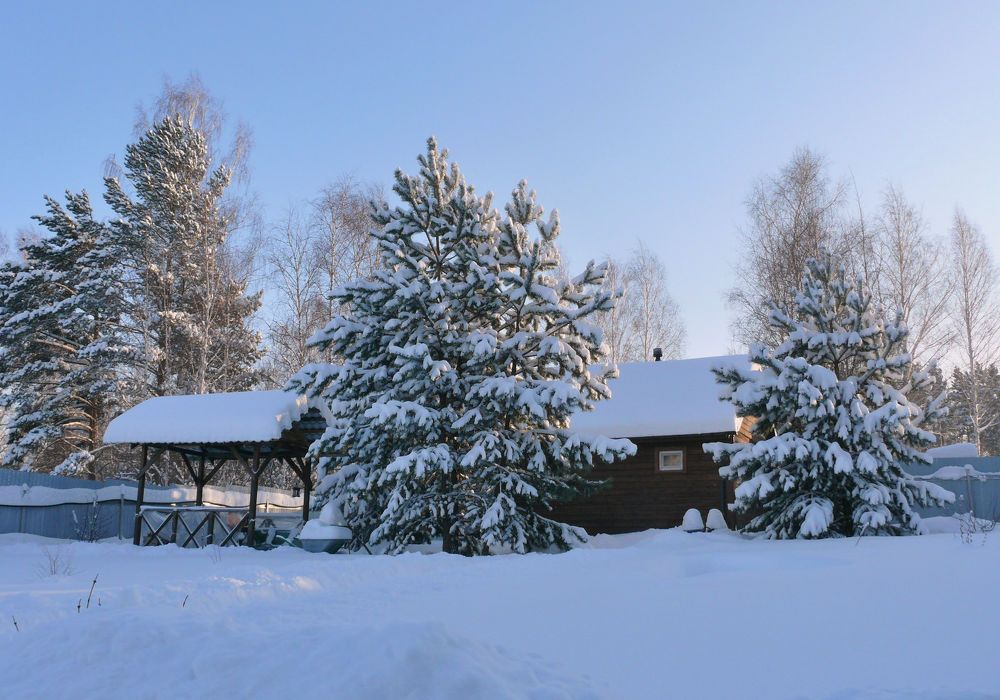 Photograph by Людмила Федорчак