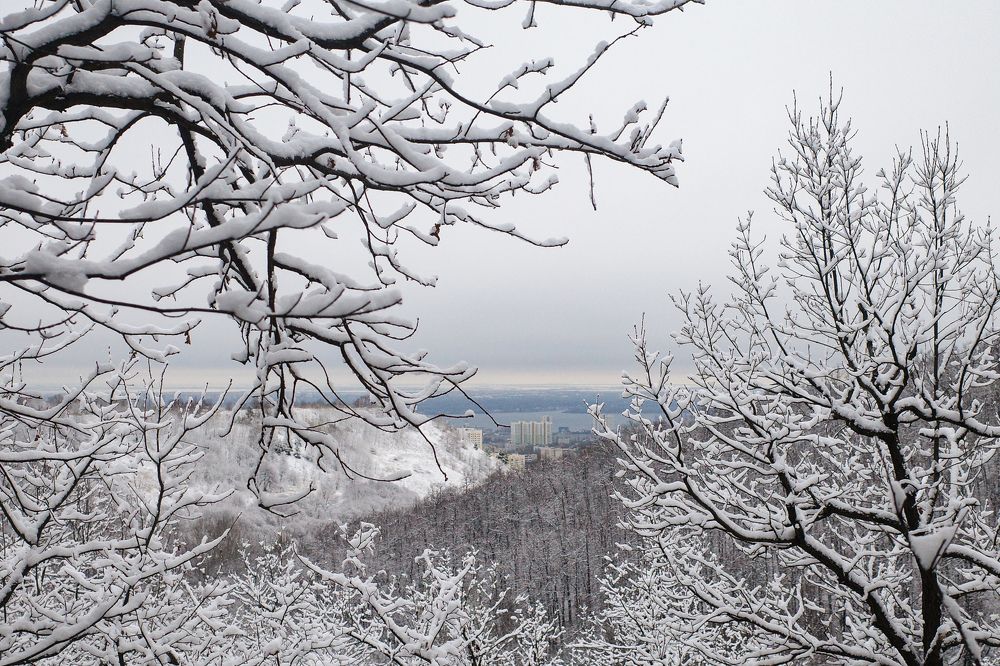 Photograph by Алла Никушкина