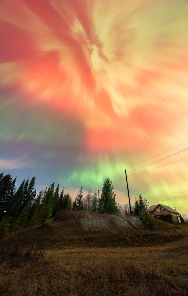 Ночной Феникс