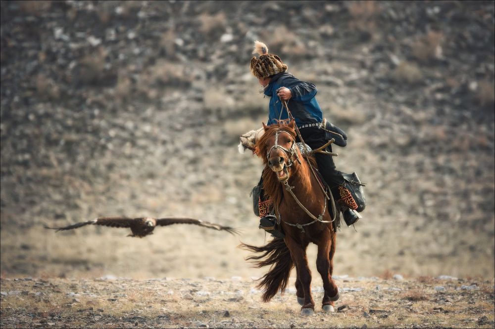 Photograph by Влад Соколовский