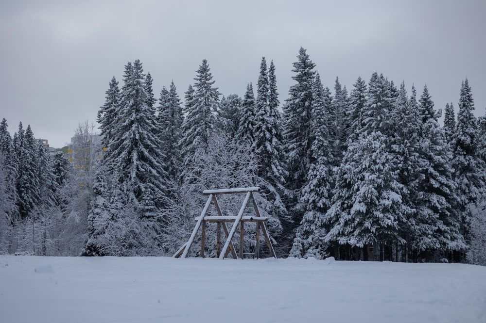 Photograph by Бальзирова Наталья