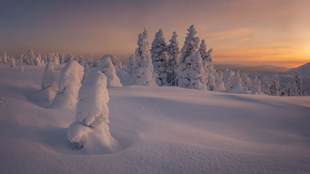 Photograph by Александр Рудный