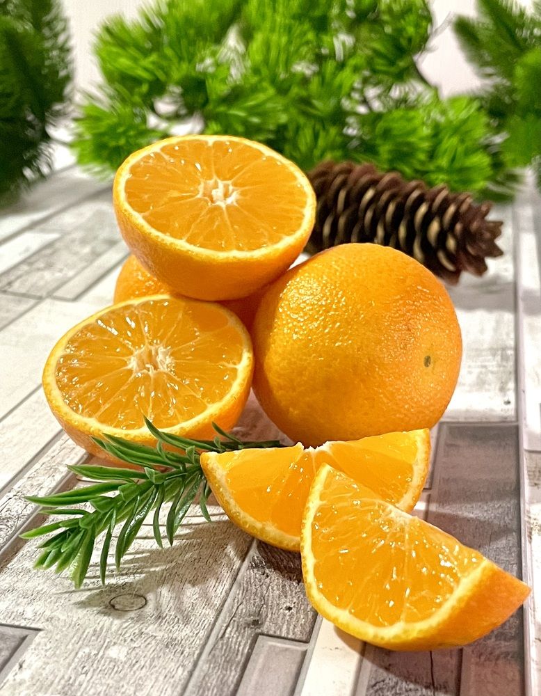 Photograph by Татьяна Раковская