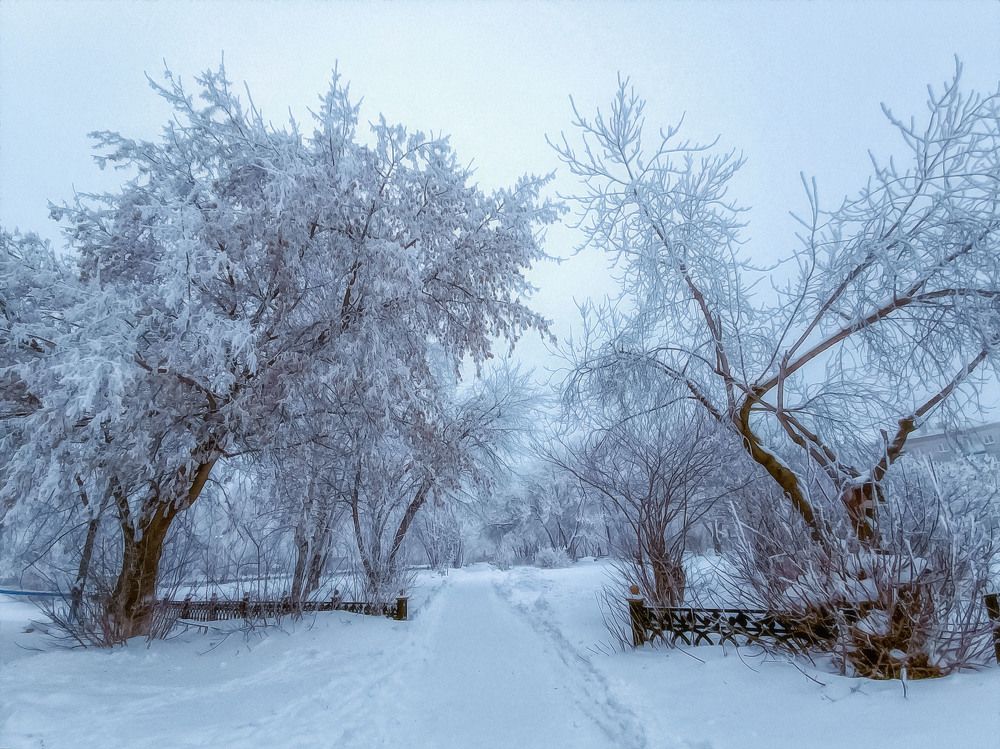 Photograph by Юлия Лушникова