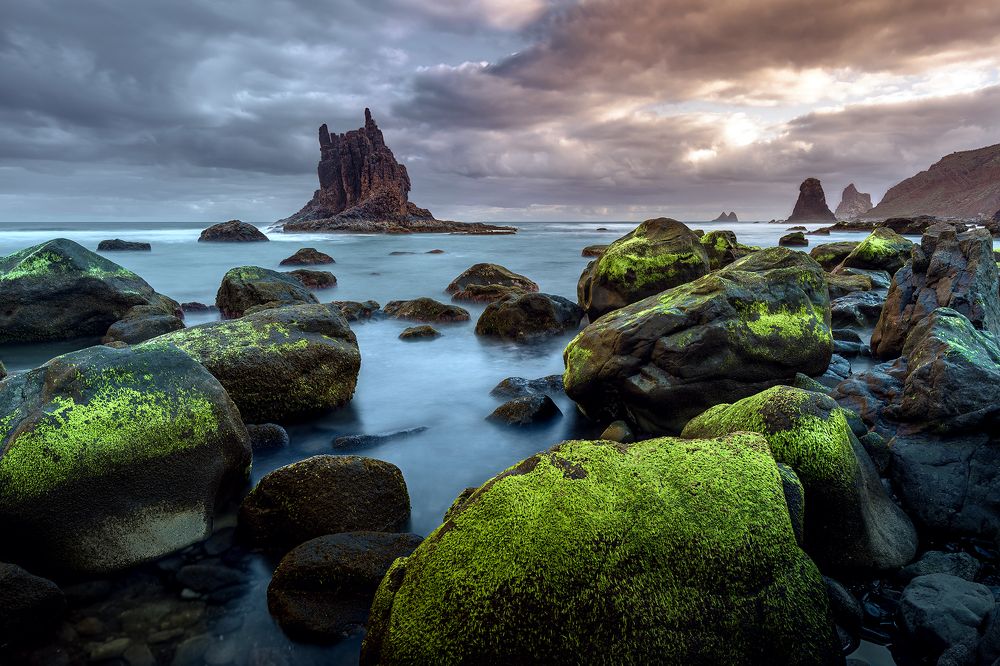 Photograph by Сергей Косов