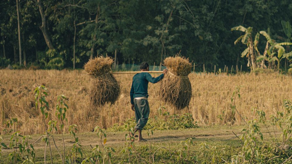 Tranquillity of a village