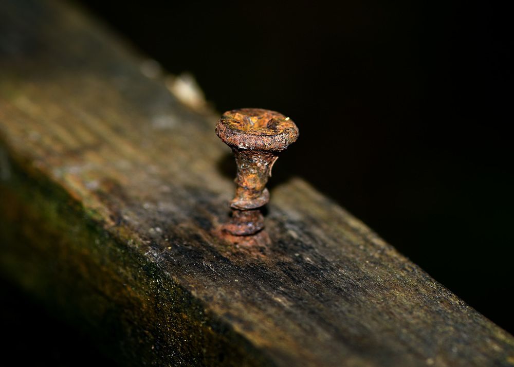 Photograph by Valery Pegushev