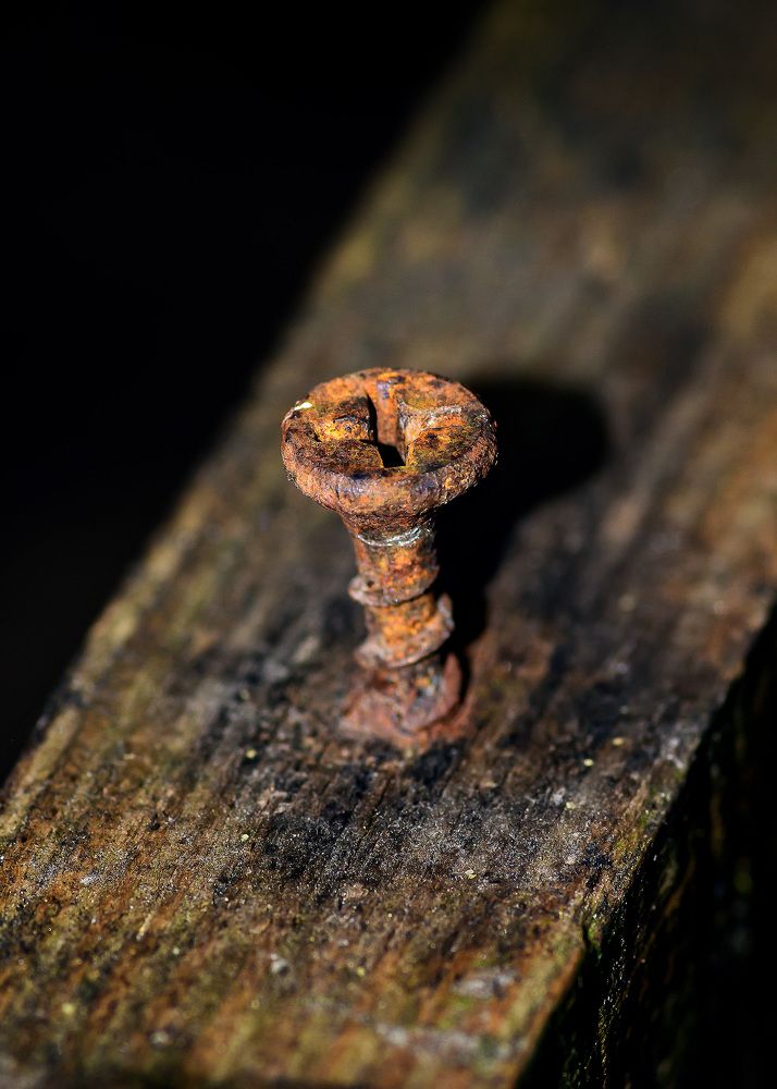 Photograph by Valery Pegushev