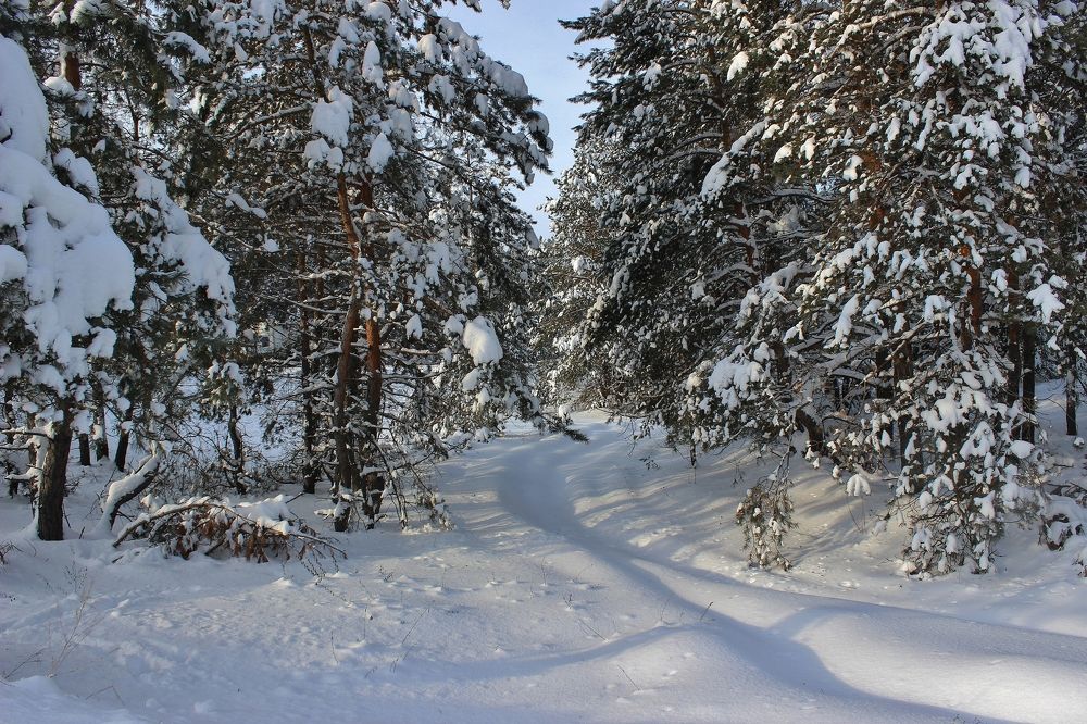 Photograph by Анна Восковых