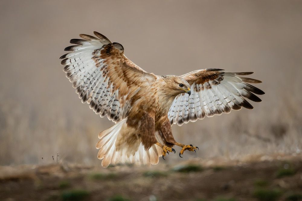 Photograph by Nikolay Stoyanov