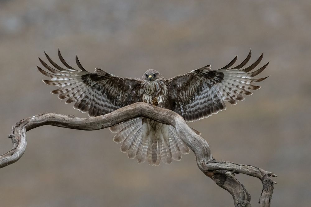 Photograph by Nikolay Stoyanov