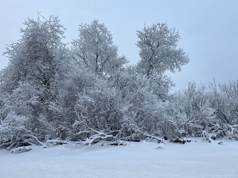 Photograph by Болдырева Ольга