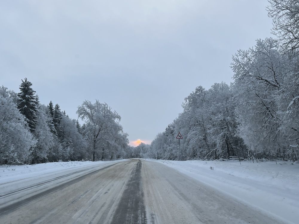 Photograph by Болдырева Ольга