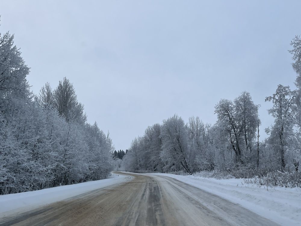 Photograph by Болдырева Ольга