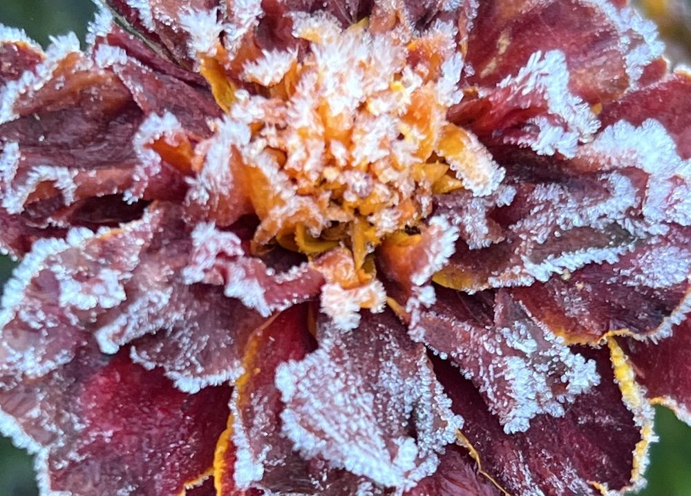 Photograph by Лариса