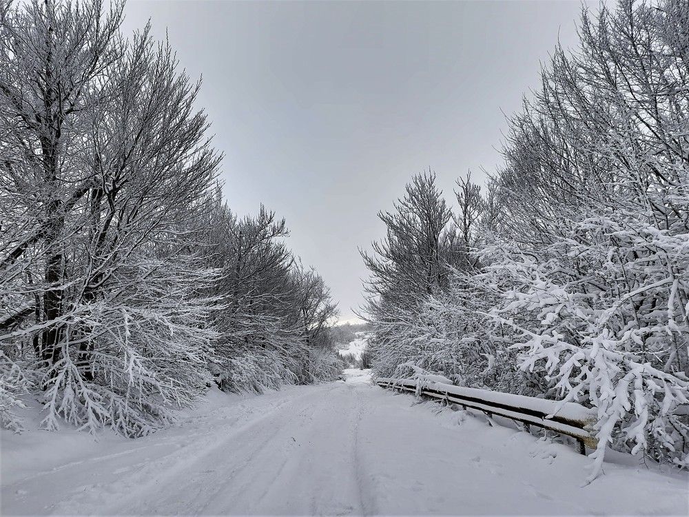 Чатыр-Даг, нижнее плато в снегу