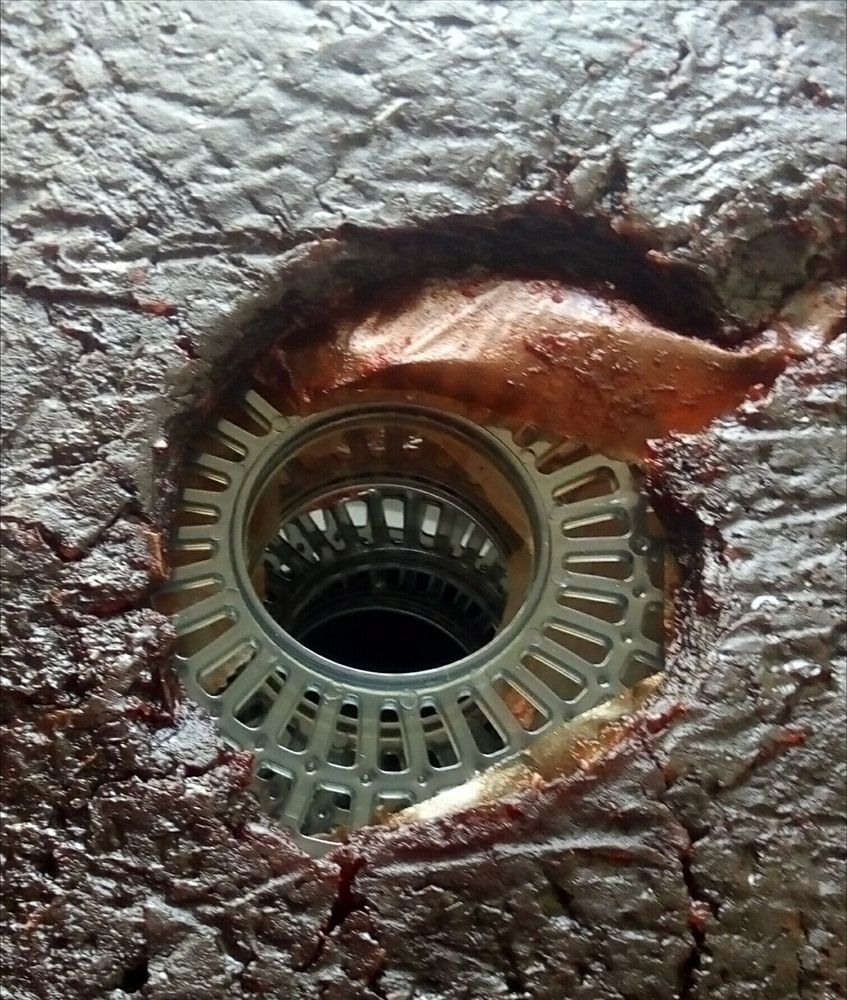 Photograph by Людмила Ковалева