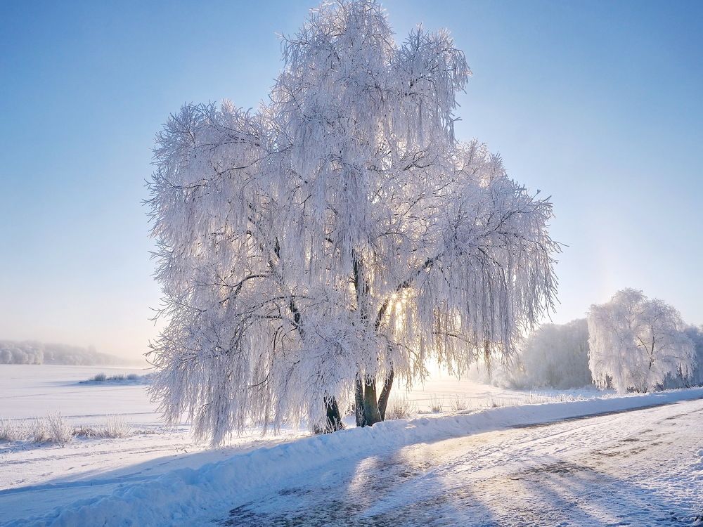 Photograph by Надежда Васильева