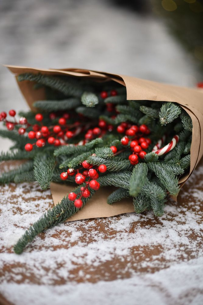 Photograph by Виктория Шамурина