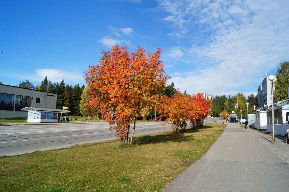 Осенние улочки любимого города.