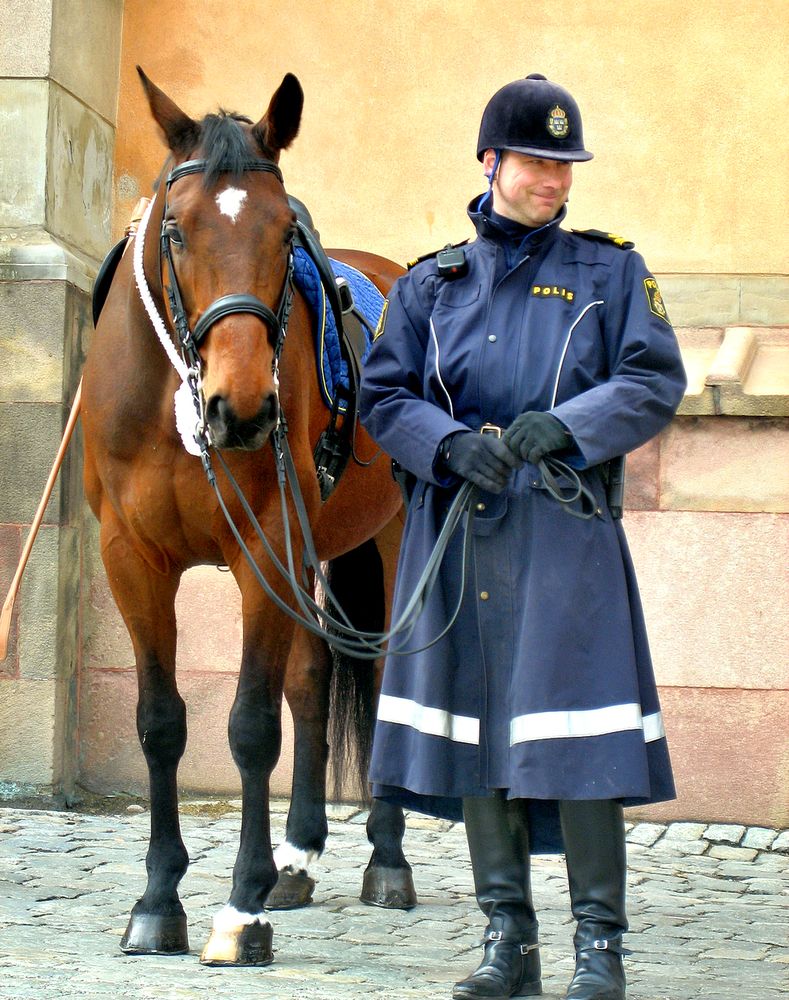 Радость человека с конем