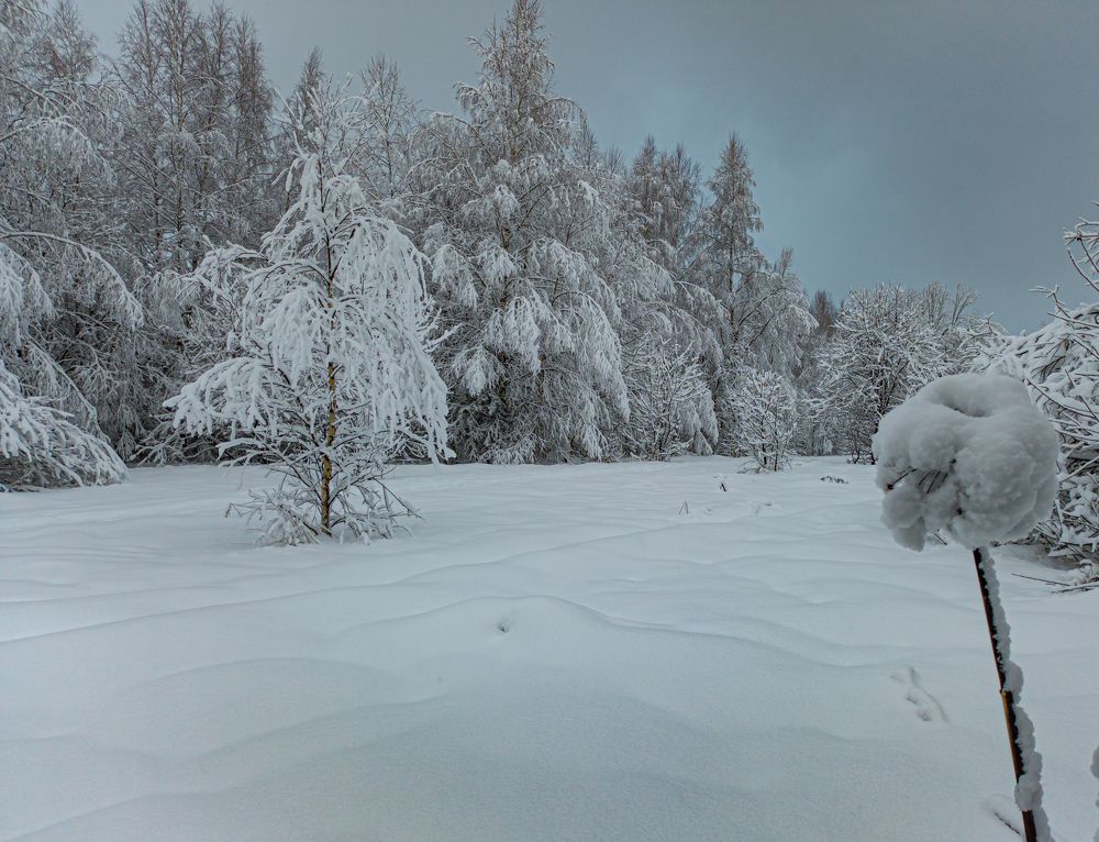 Фотография автора Швайко Михаил