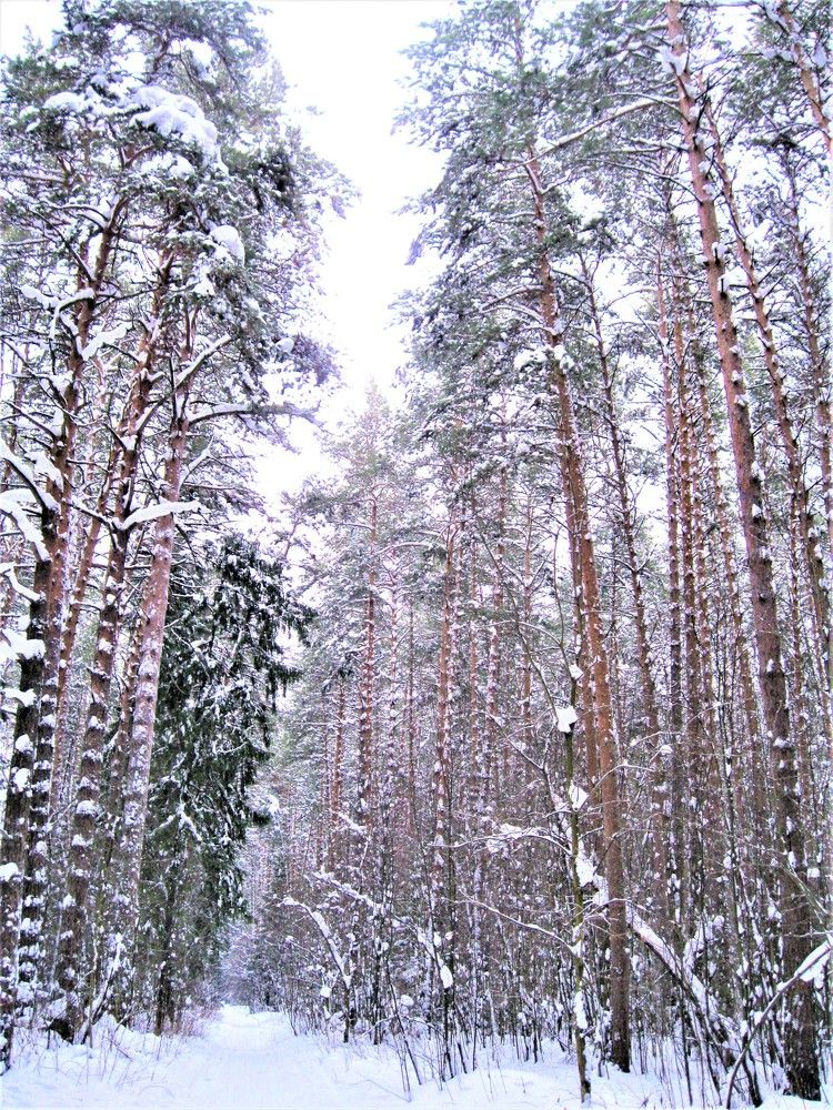 Photograph by Галина