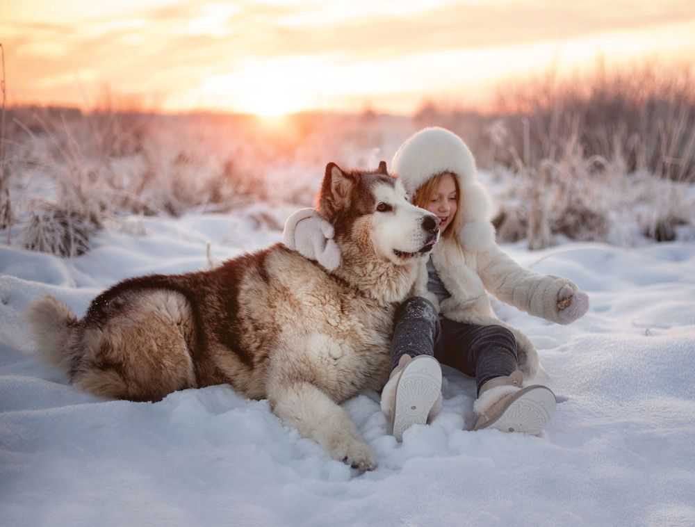 Photograph by Ольга Черкасова