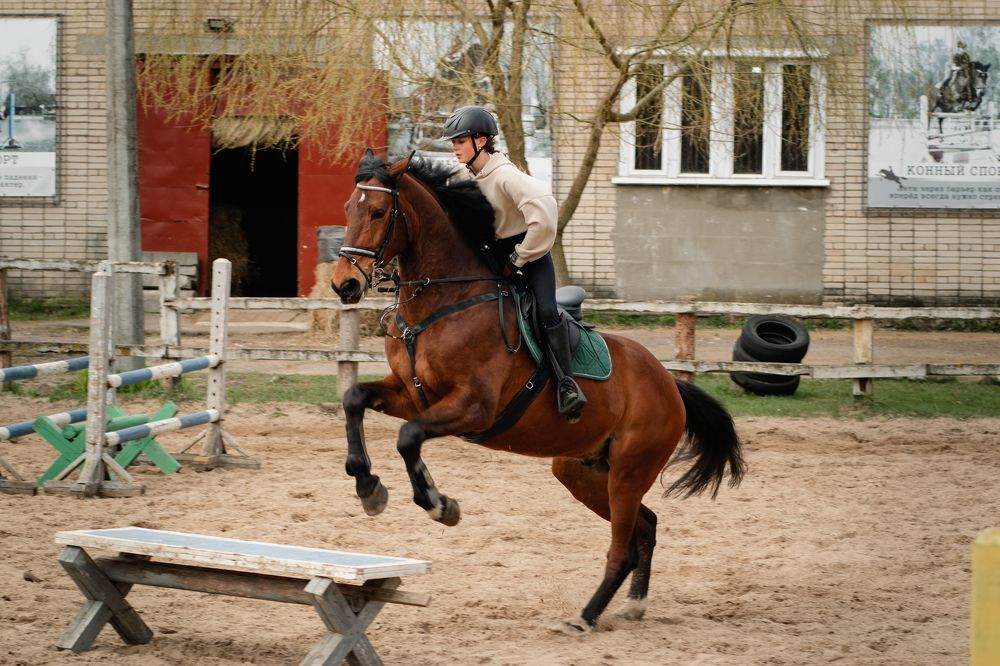 Photograph by Виталий Потапенок