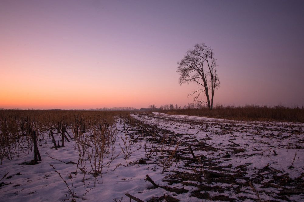 Photograph by Алексей Родионов