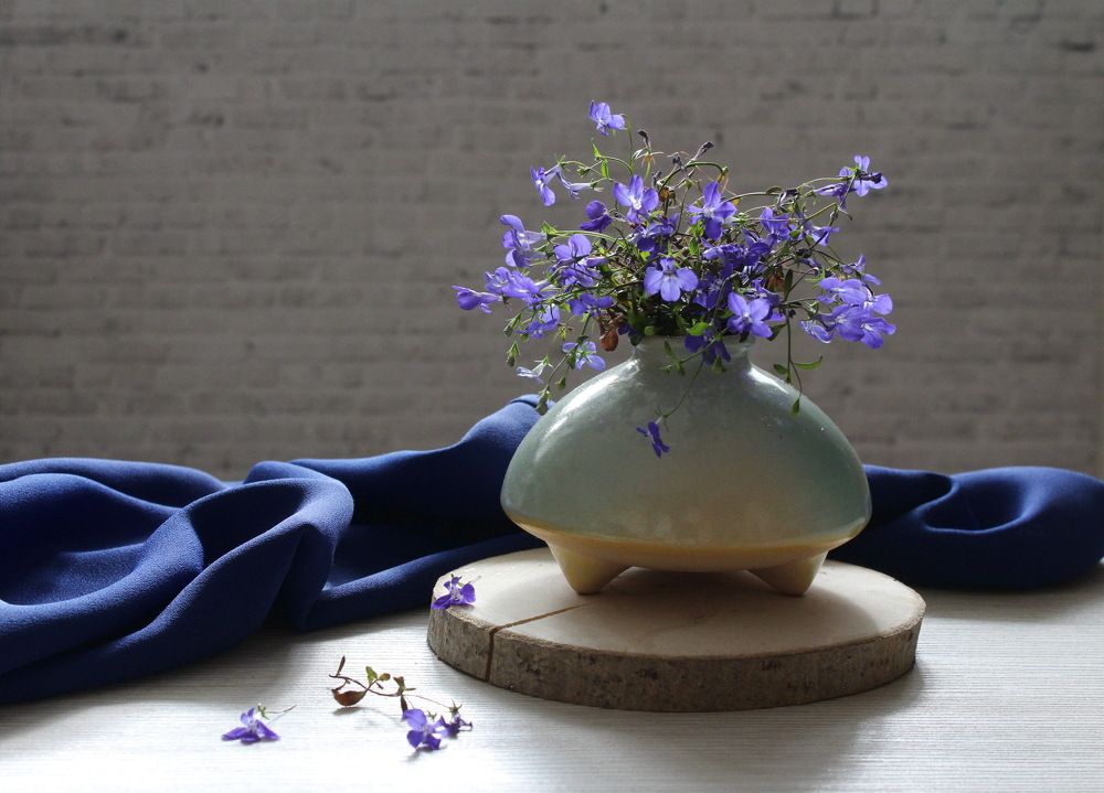 Photograph by Сироткина Нина